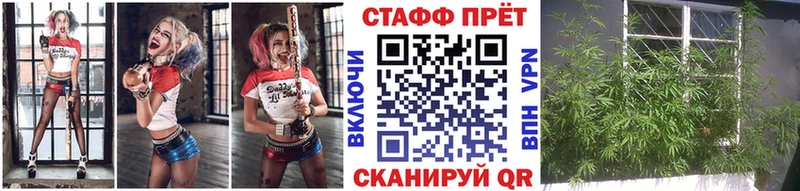 Купить наркоту Междуреченск Кетамин  Меф мяу мяу  Марихуана 