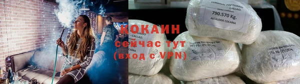 винт Горно-Алтайск
