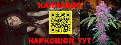 стафф Гатчина
