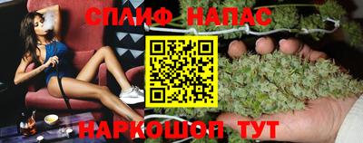 Альфа ПВП Аргун