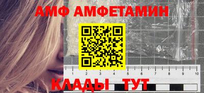 стафф Гатчина