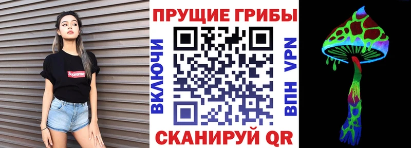 Псилоцибиновые грибы Psilocybine cubensis  где купить   Междуреченск 