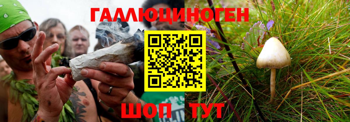 Галлюциногенные грибы Psilocybe  что такое наркотик  Междуреченск 
