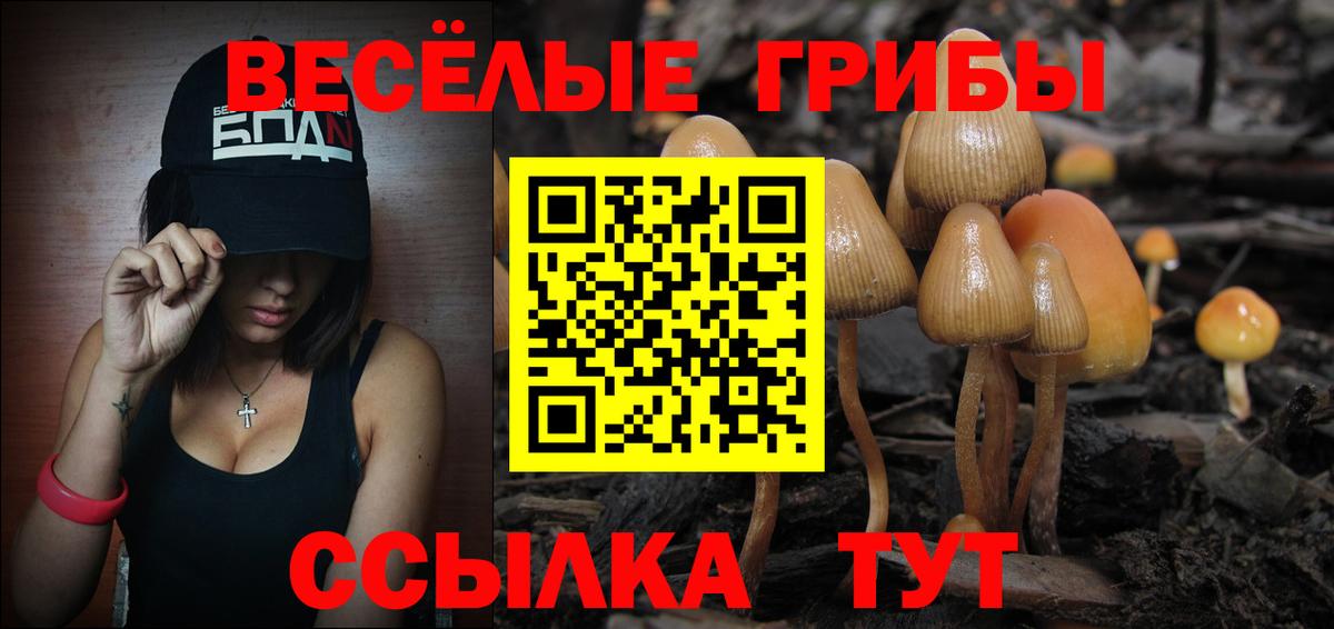 Псилоцибиновые грибы MAGIC MUSHROOMS Междуреченск